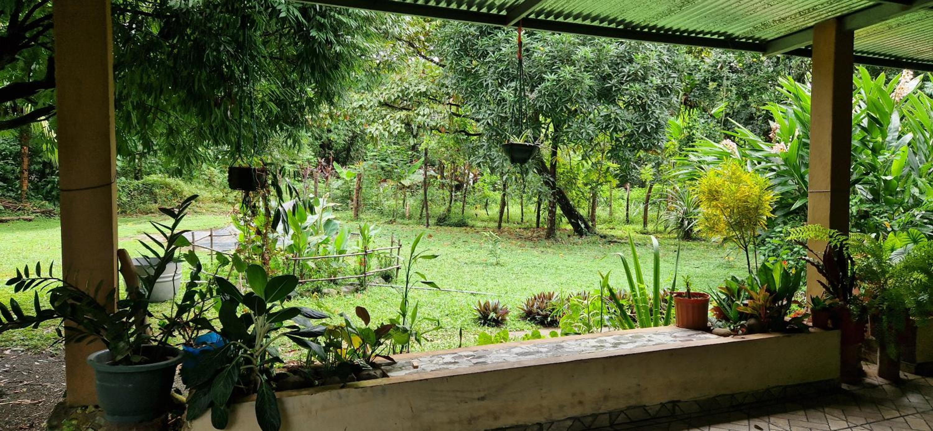 Finca Mamacita