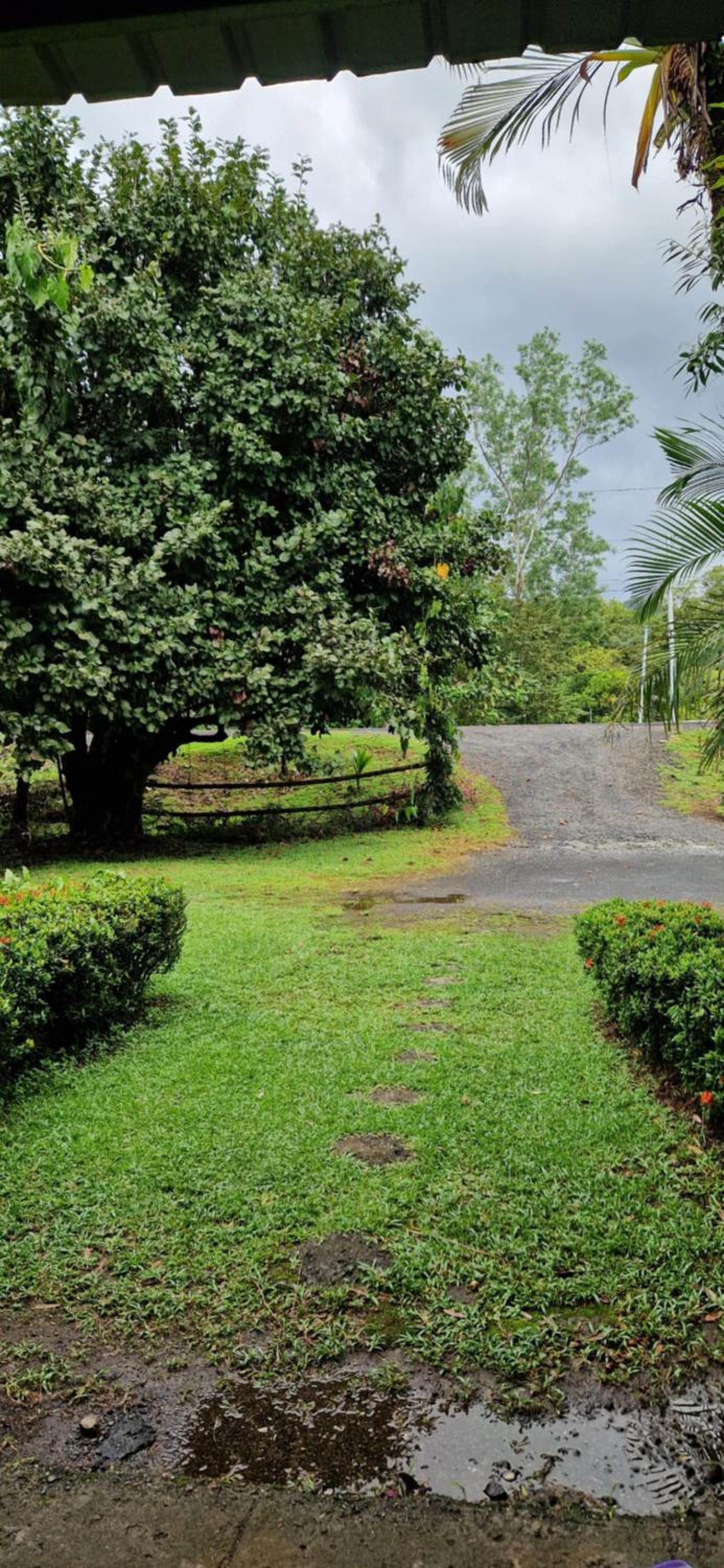 Finca Mamacita