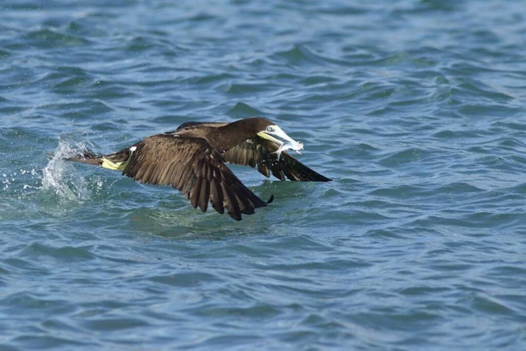 KARETS VIEW les pieds dans l eau - feet in water