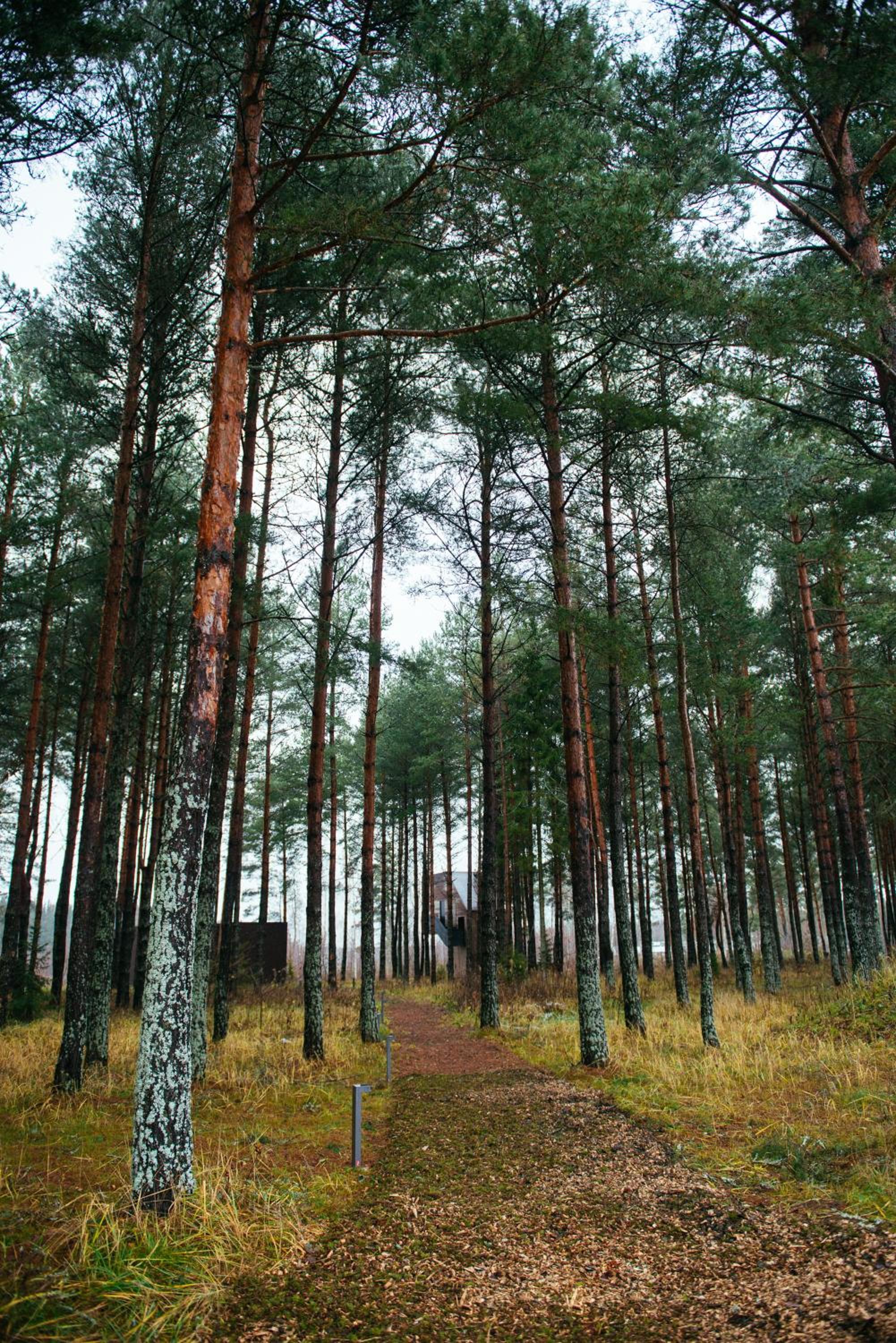 Jägala Juga Nature Resort SPA