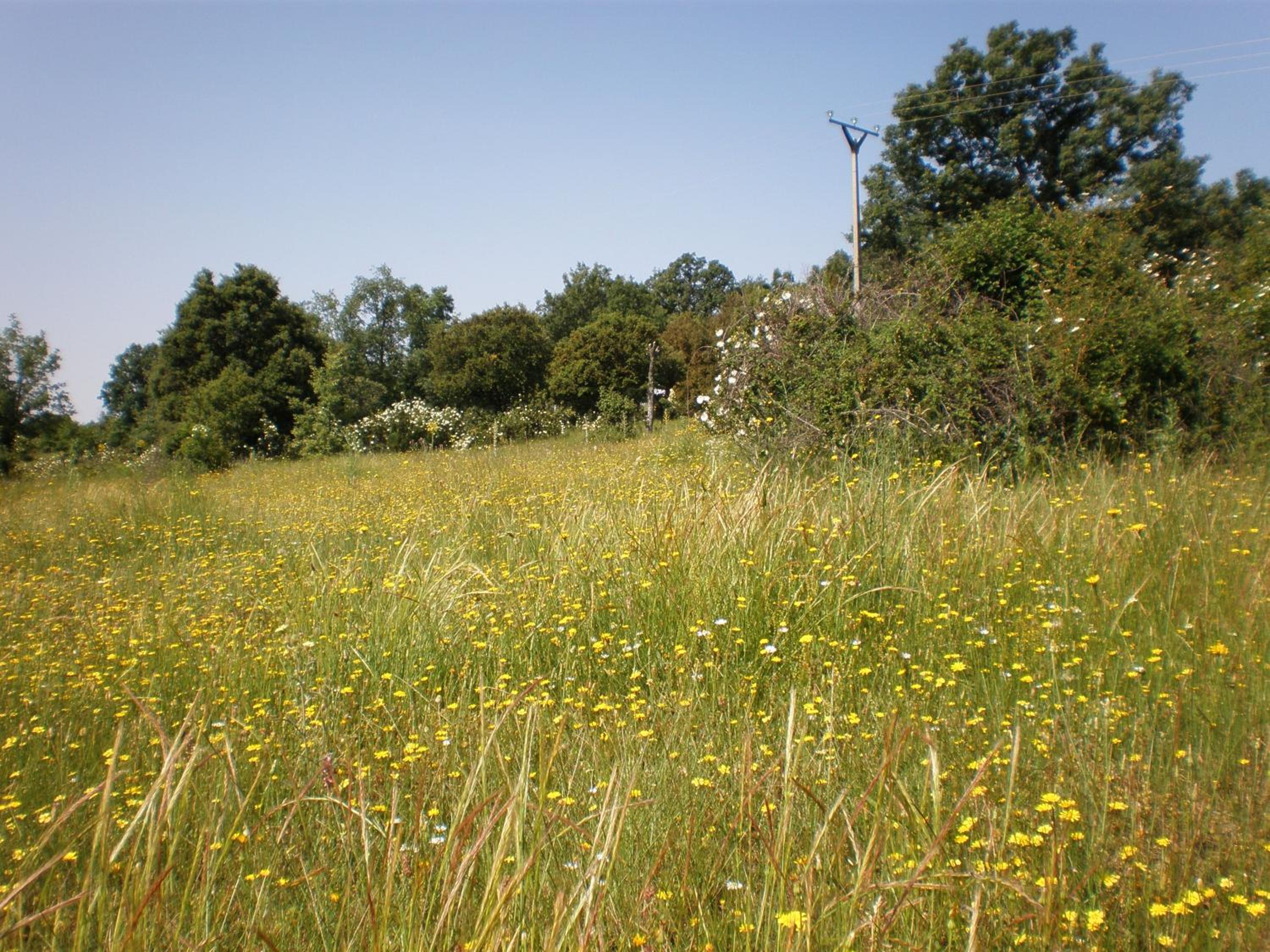 Photo 47