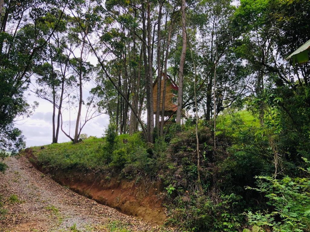 Casa na árvore perto da praia