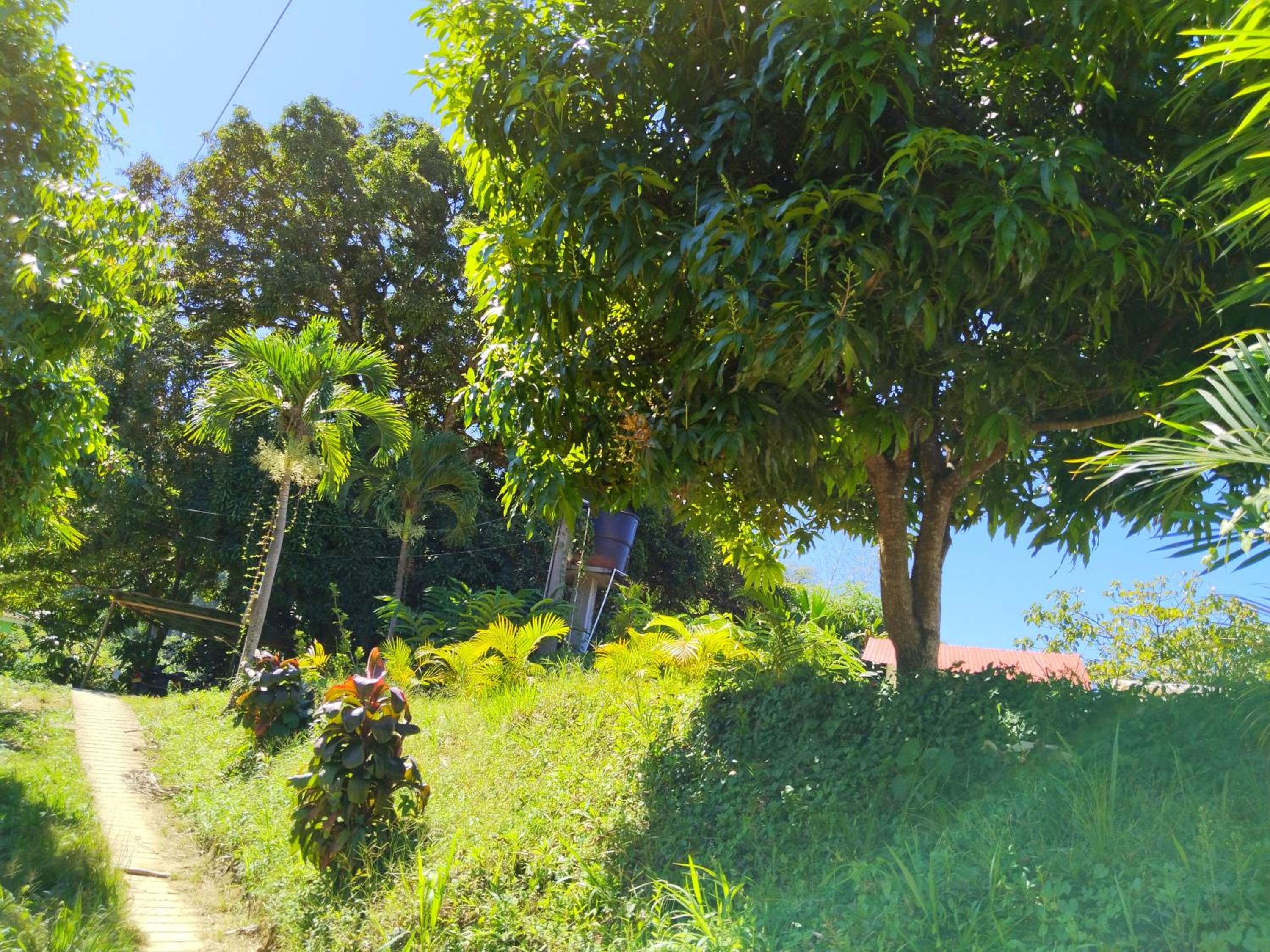 Photo 23