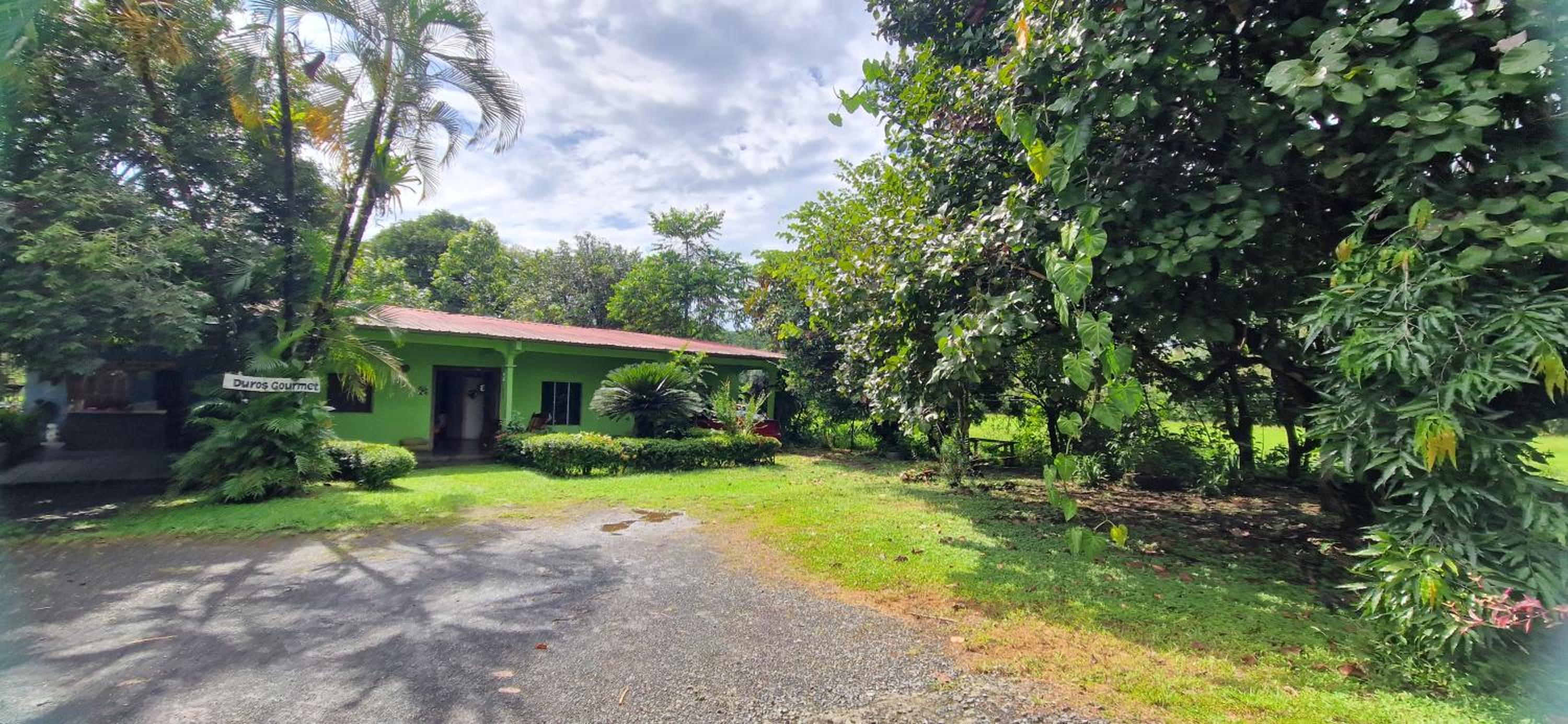 Finca Mamacita
