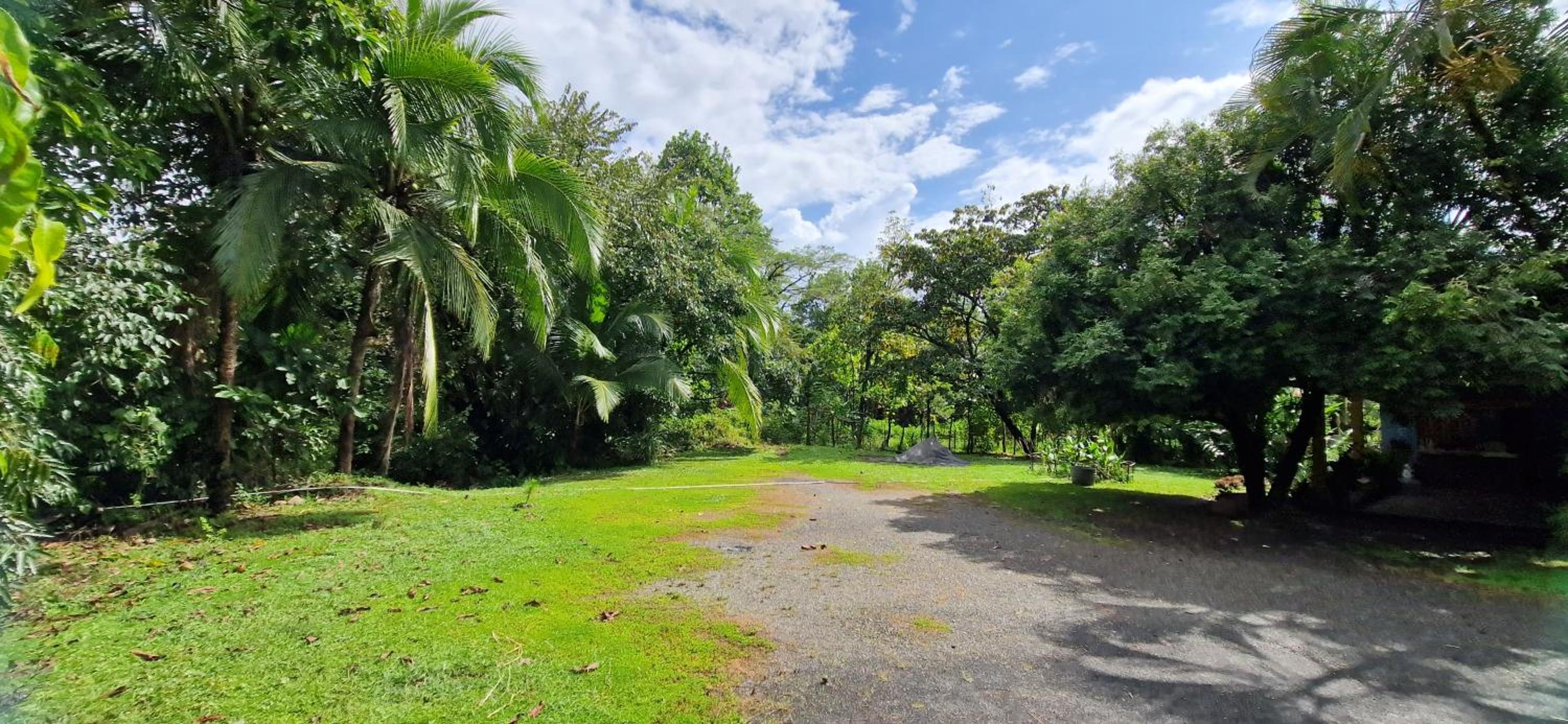 Finca Mamacita
