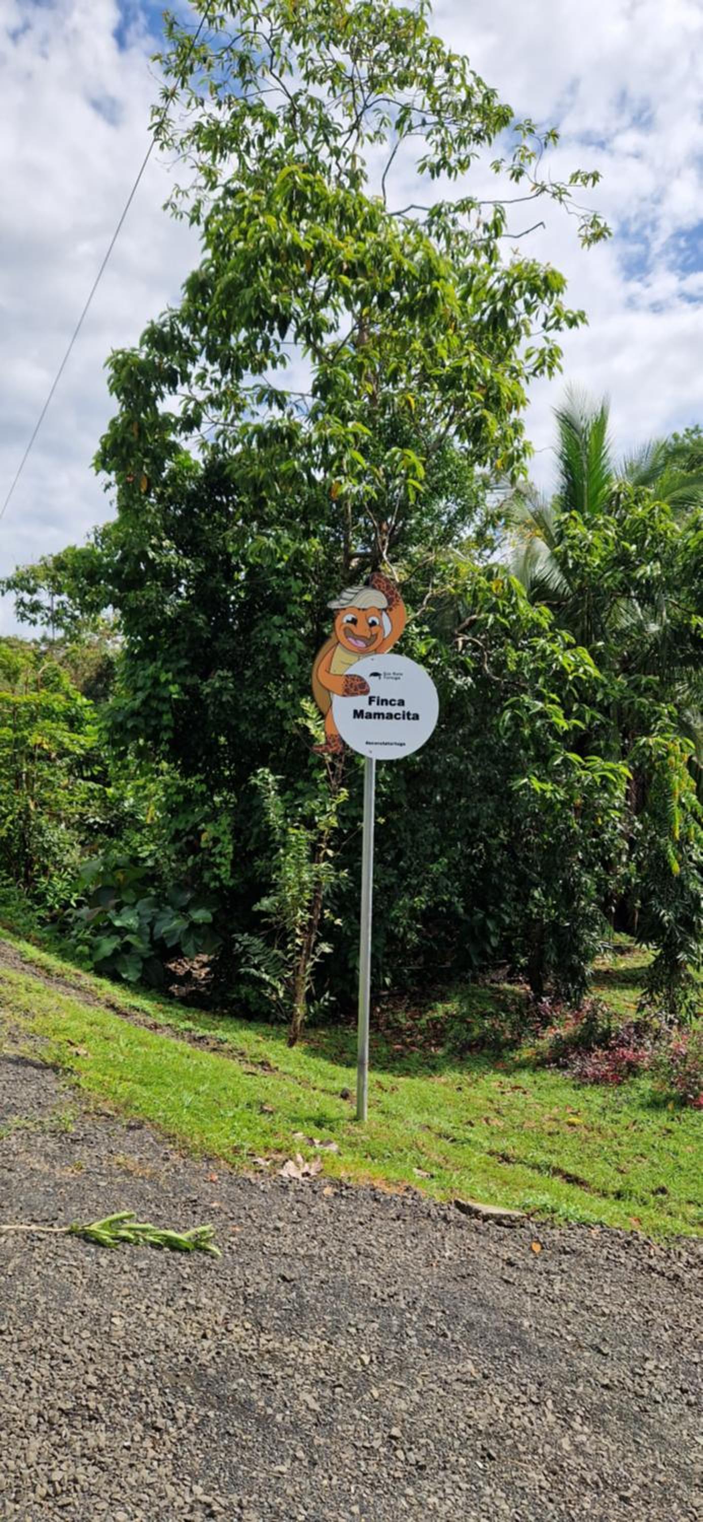 Finca Mamacita