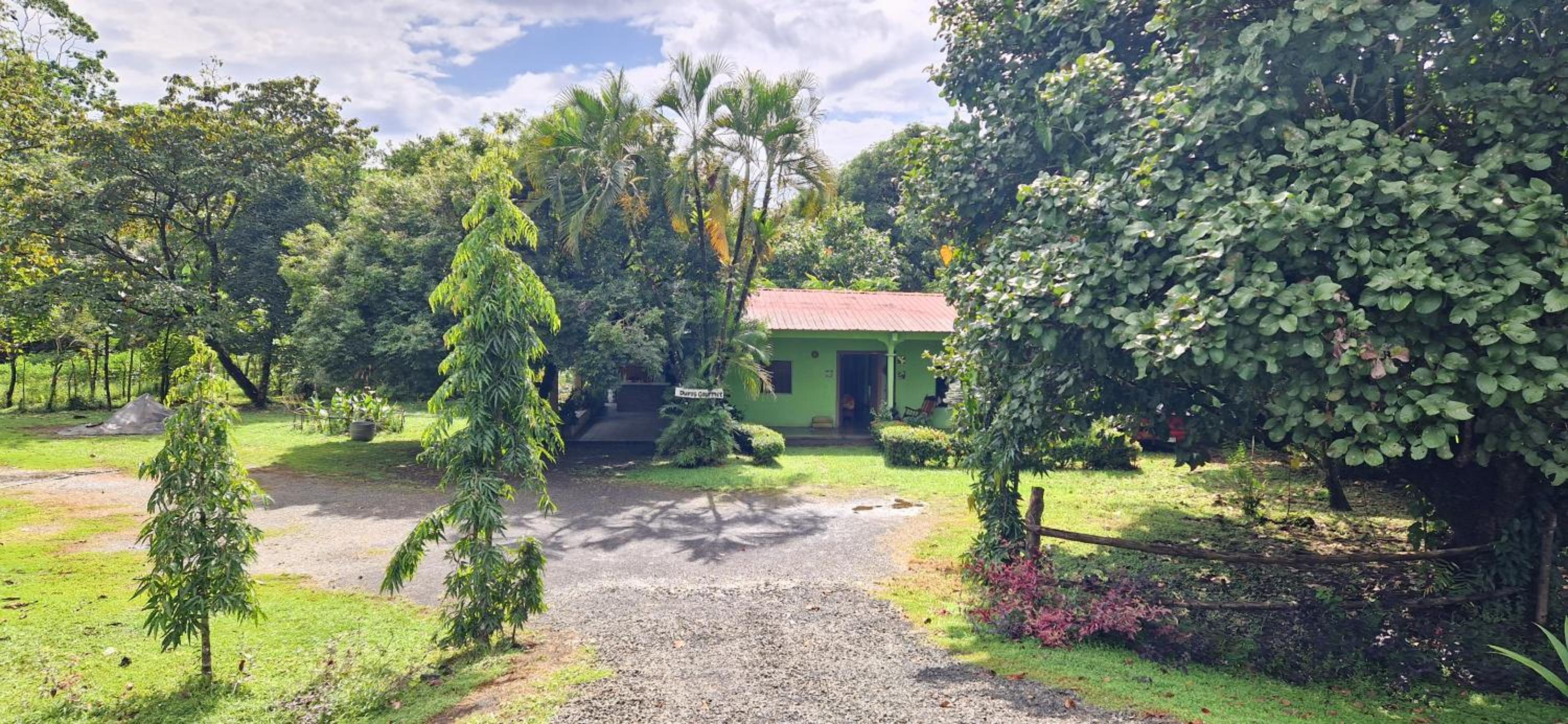 Finca Mamacita