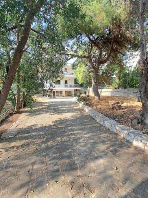 Sea view apartment with balcony-Saronida view 3