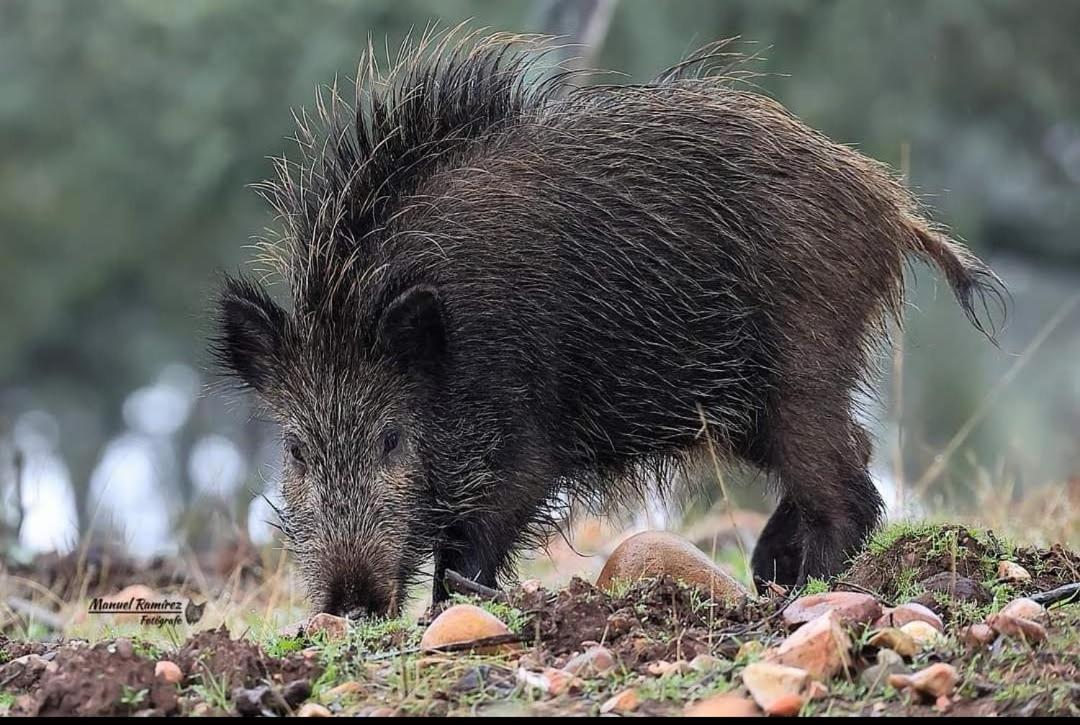 Mirador La Villa de Laura