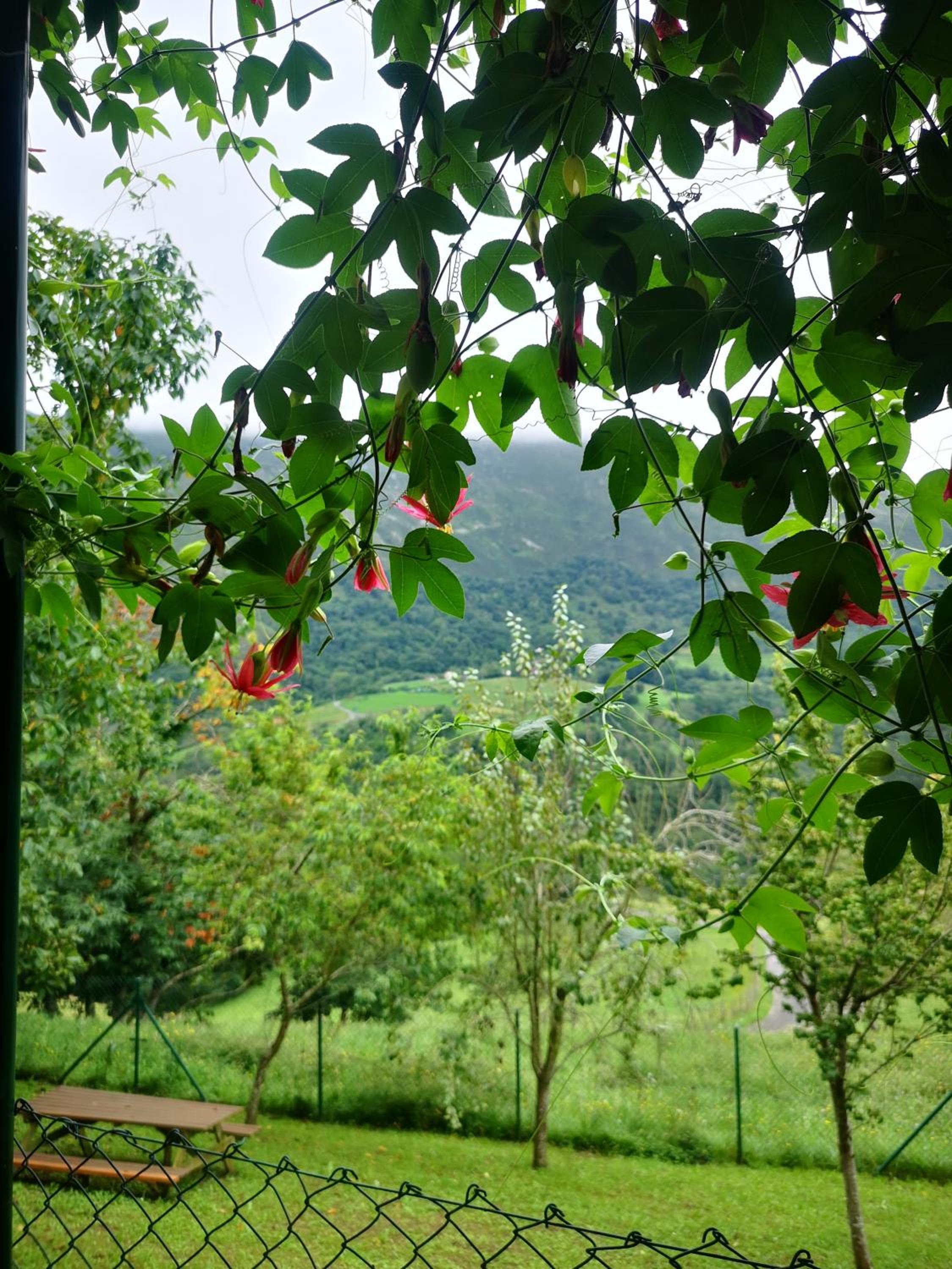 Viviendas Vacacionales Beni II
