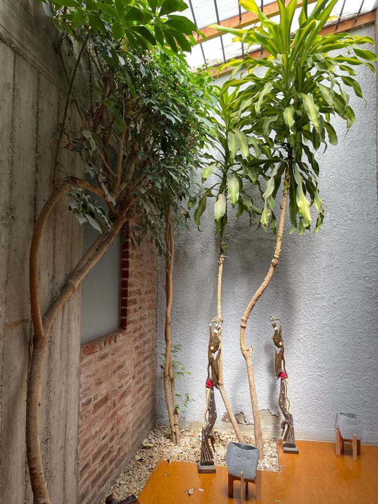 Casa Jardin