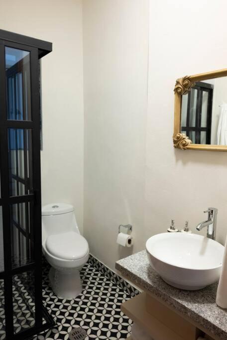 Nice house, spacious, bright, near to Ave. Reforma