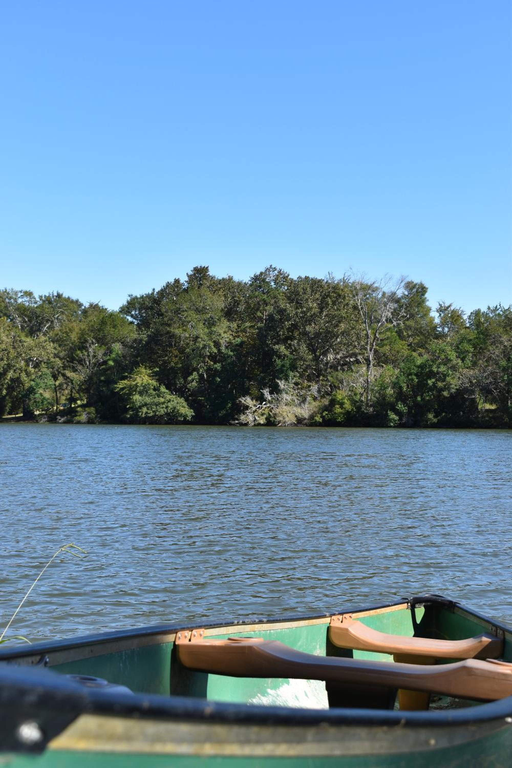 Photo 66