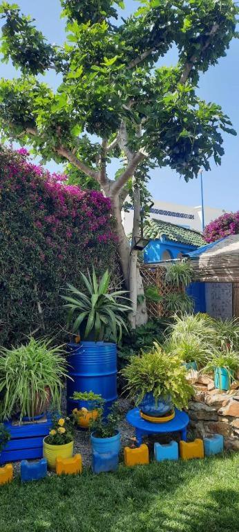 MAISON D HÔTES Marine KSAR SGHIR