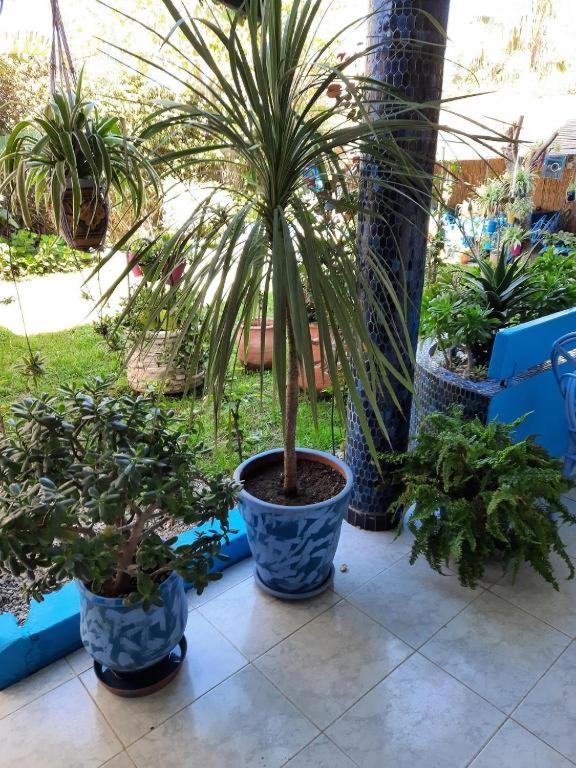 MAISON D HÔTES Marine KSAR SGHIR