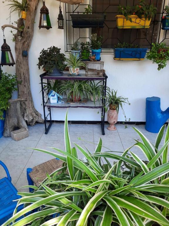 MAISON D HÔTES Marine KSAR SGHIR
