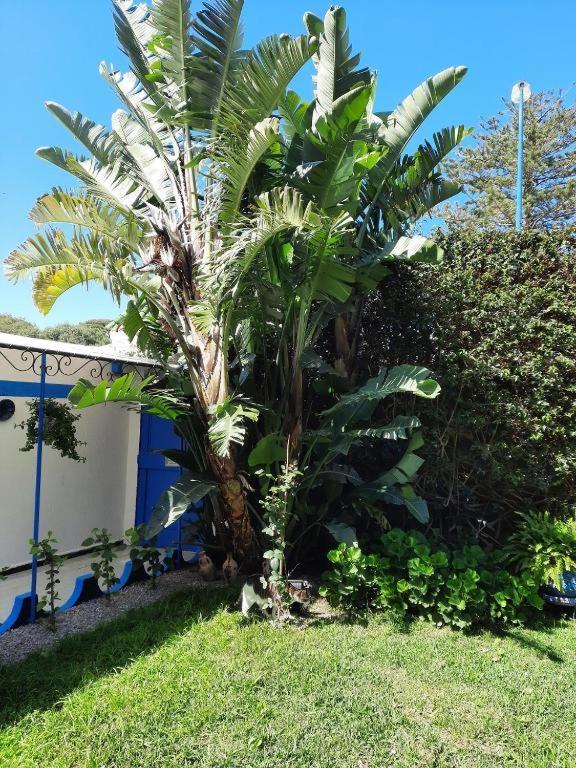 MAISON D HÔTES Marine KSAR SGHIR