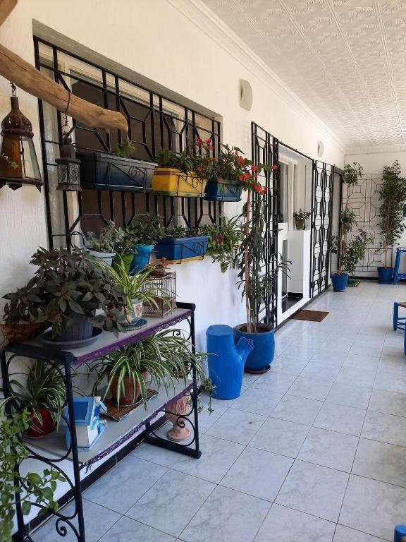 MAISON D HÔTES Marine KSAR SGHIR