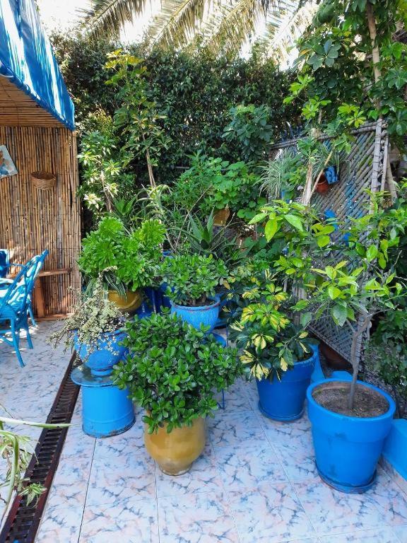 MAISON D HÔTES Marine KSAR SGHIR