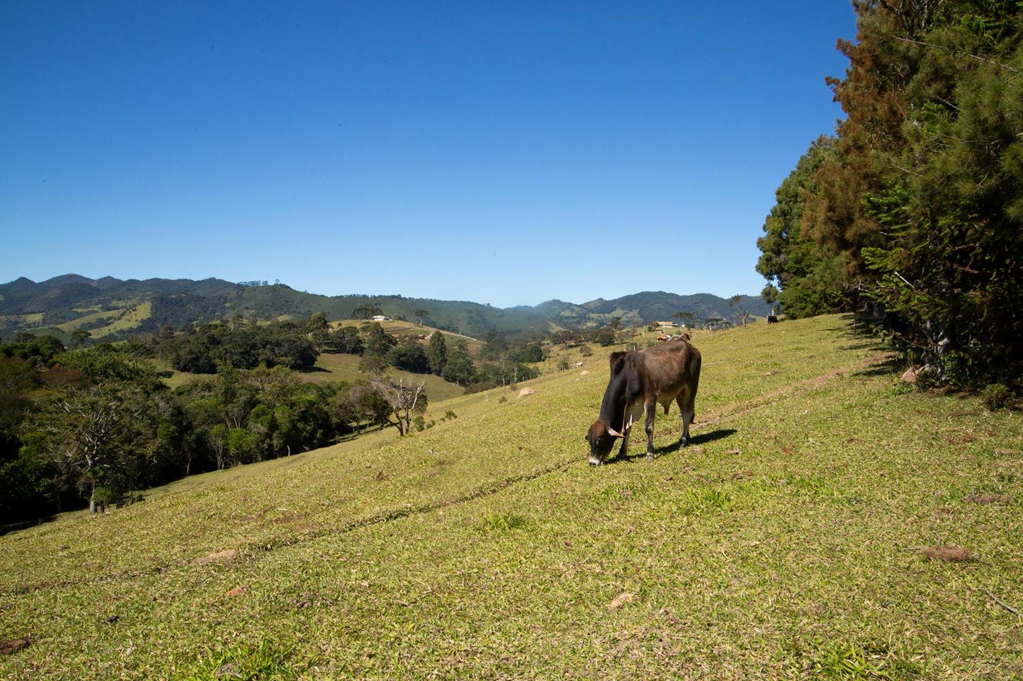 Chales Vinhas da Harmonia l Pousada em Cunha SP
