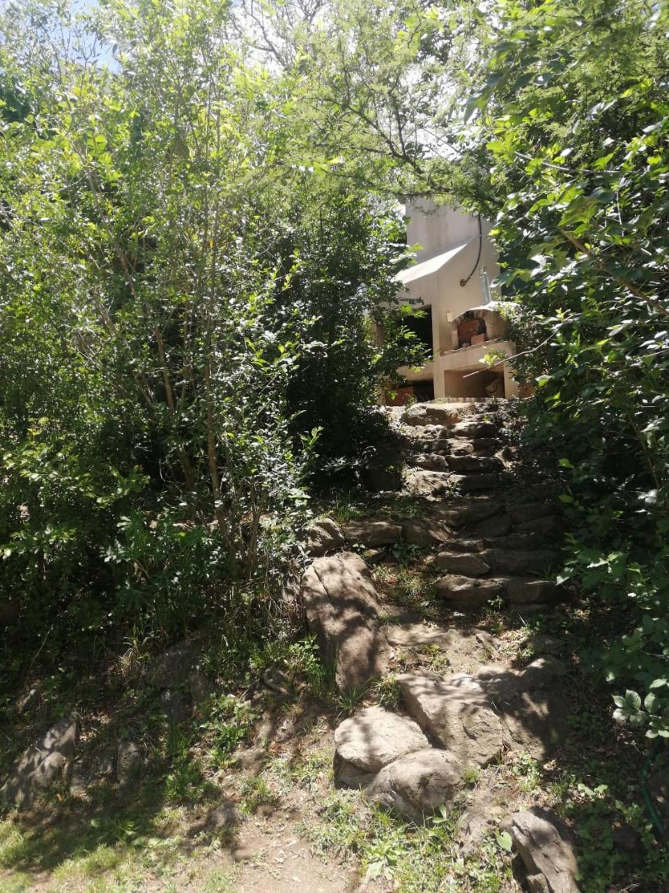 La Miradora