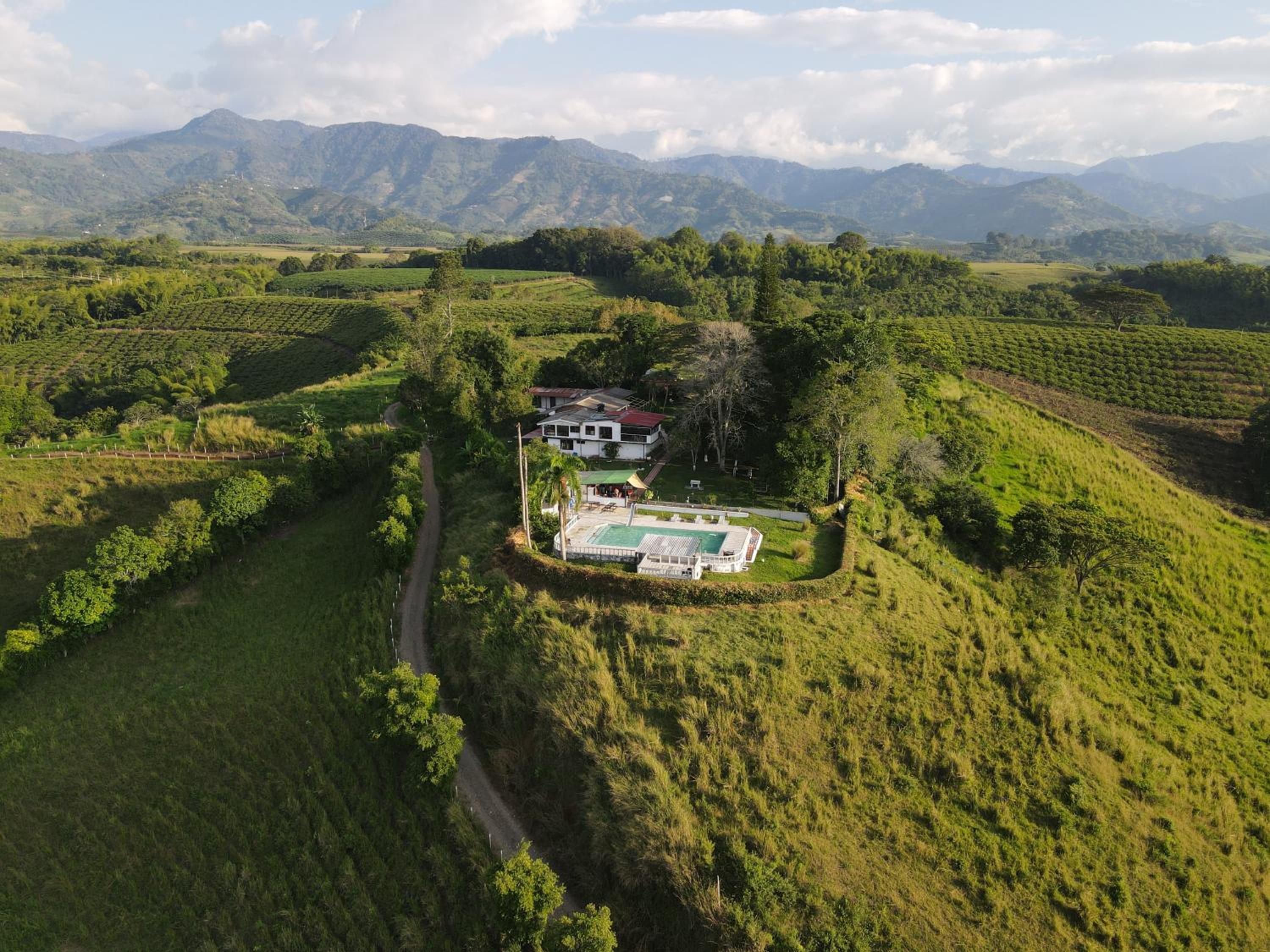 Finca Maratón Alto