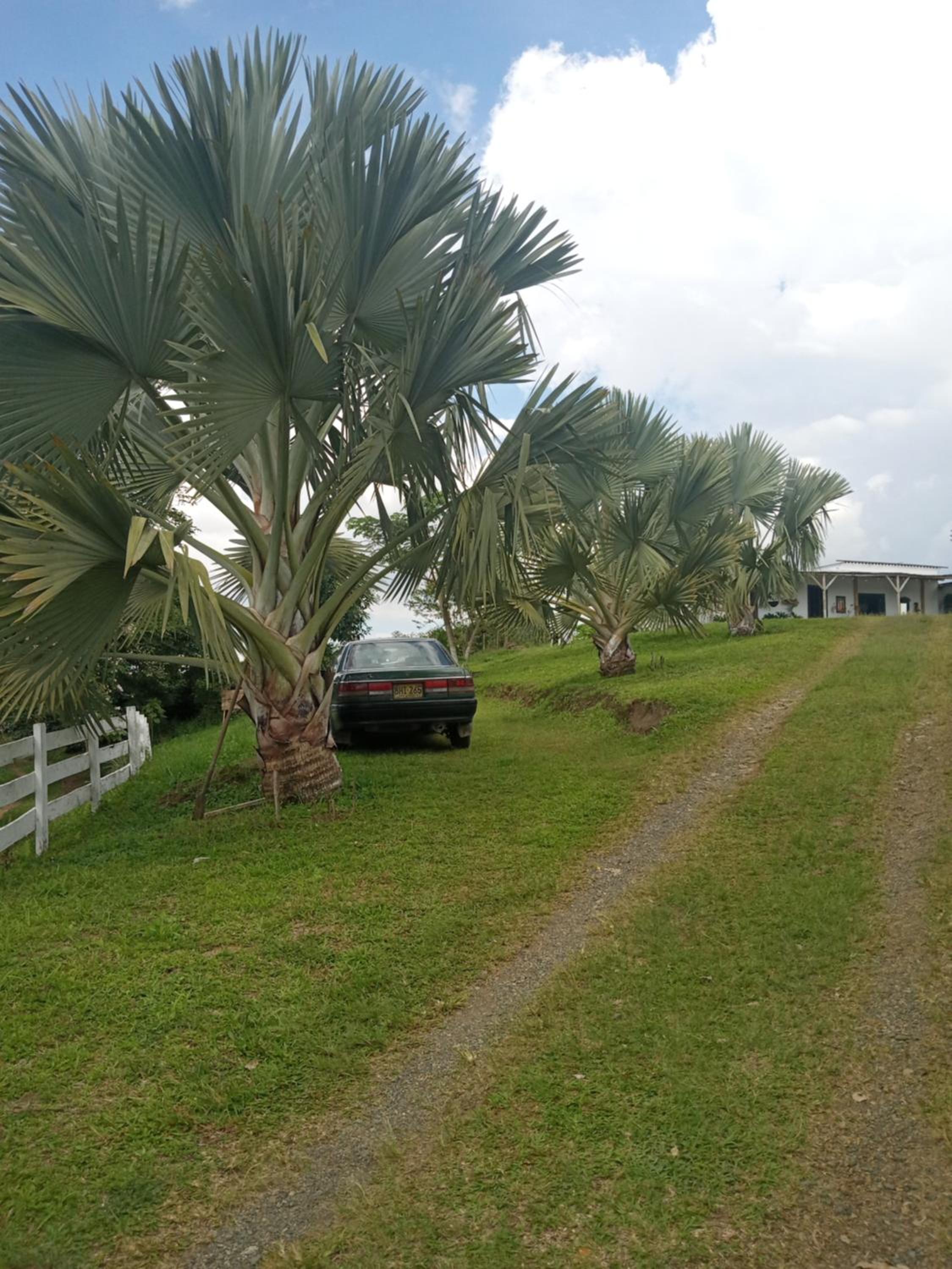 Rancho de Juancho