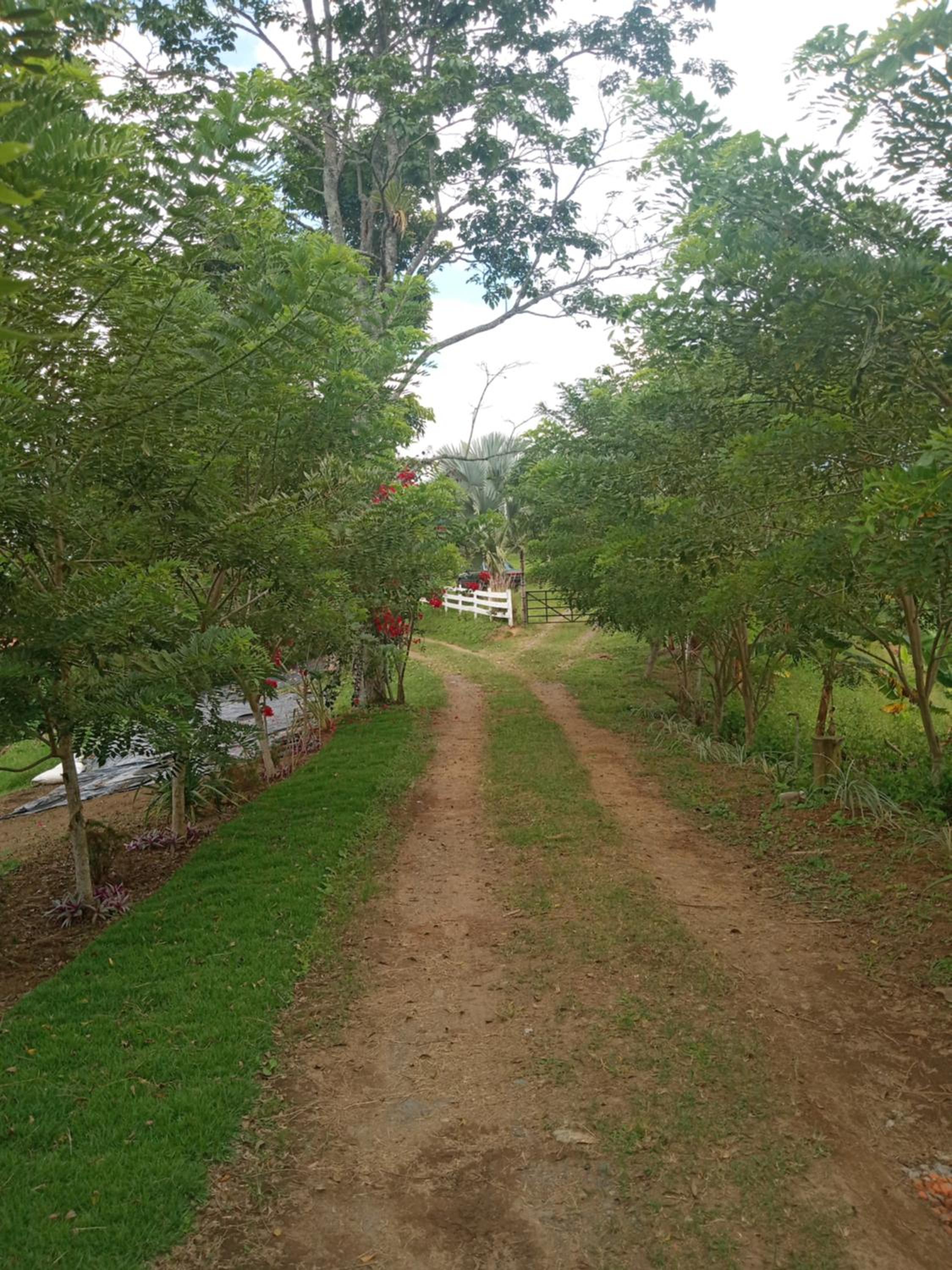 Rancho de Juancho