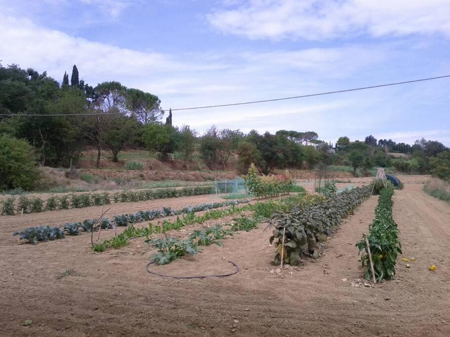 Podere Gian Battaglia