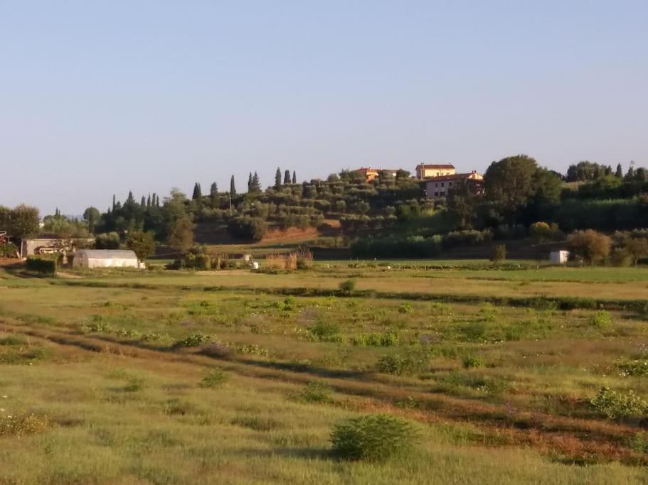 Podere Gian Battaglia
