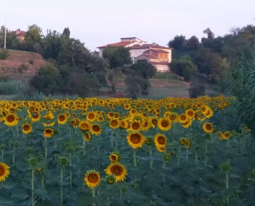 Podere Gian Battaglia