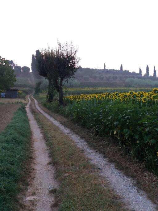 Podere Gian Battaglia