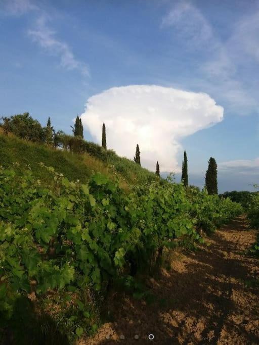Podere Gian Battaglia