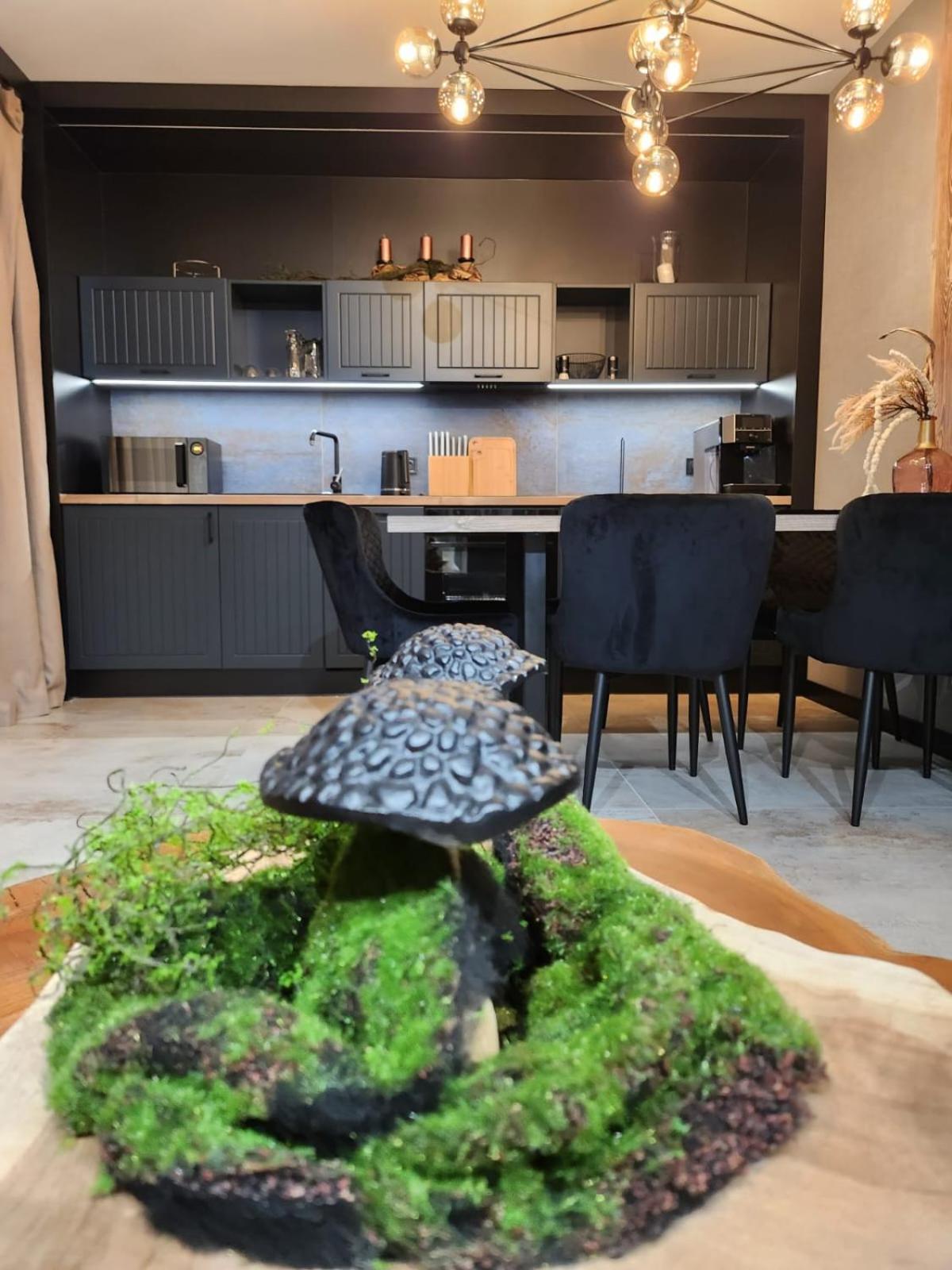 Górski Eden by Comfort Apartments