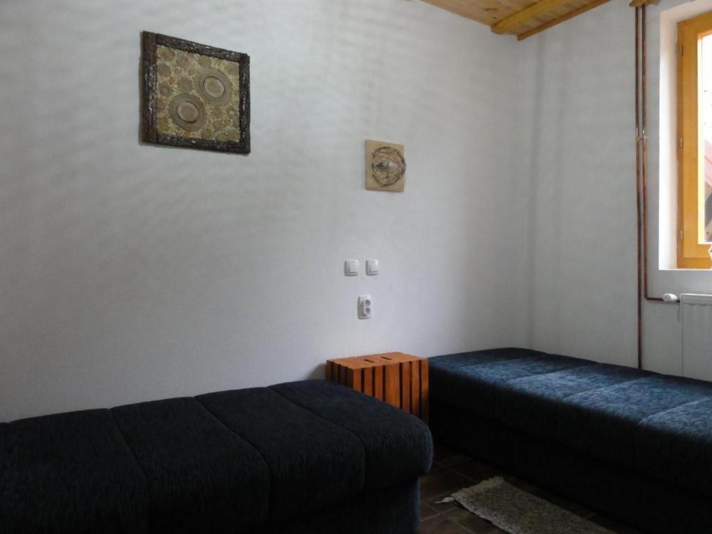 StaroplaninSki Apartments view 3
