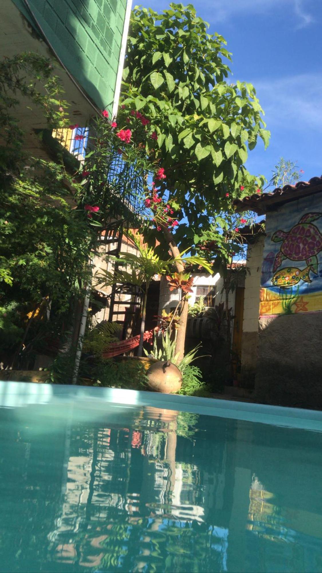 Natus Hospedagem