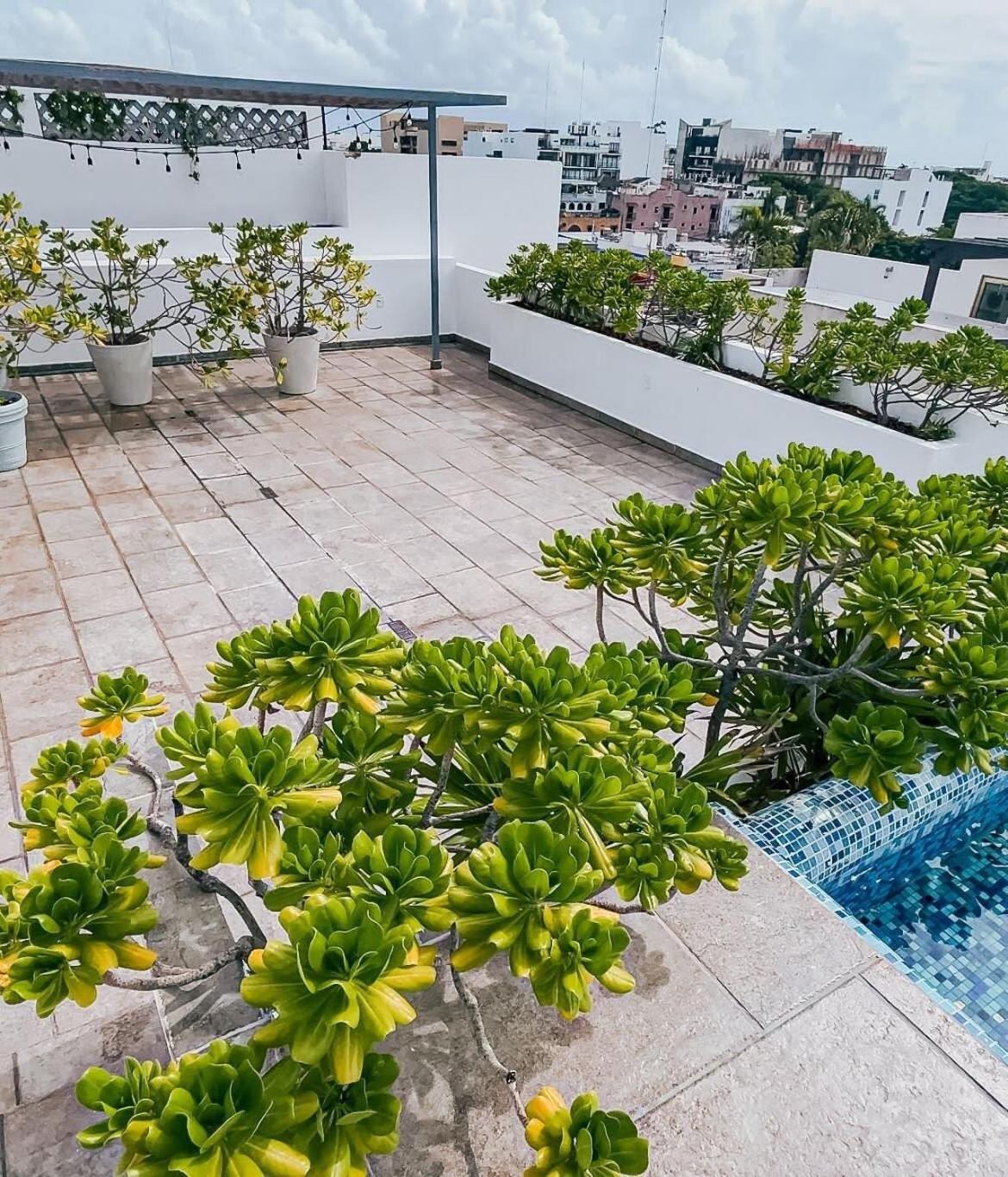 roof