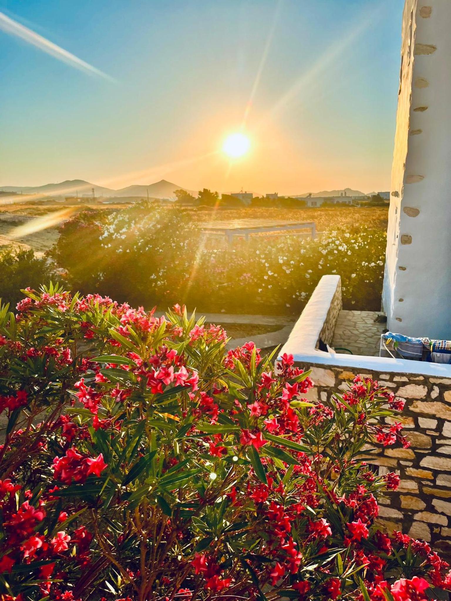 Paros Home