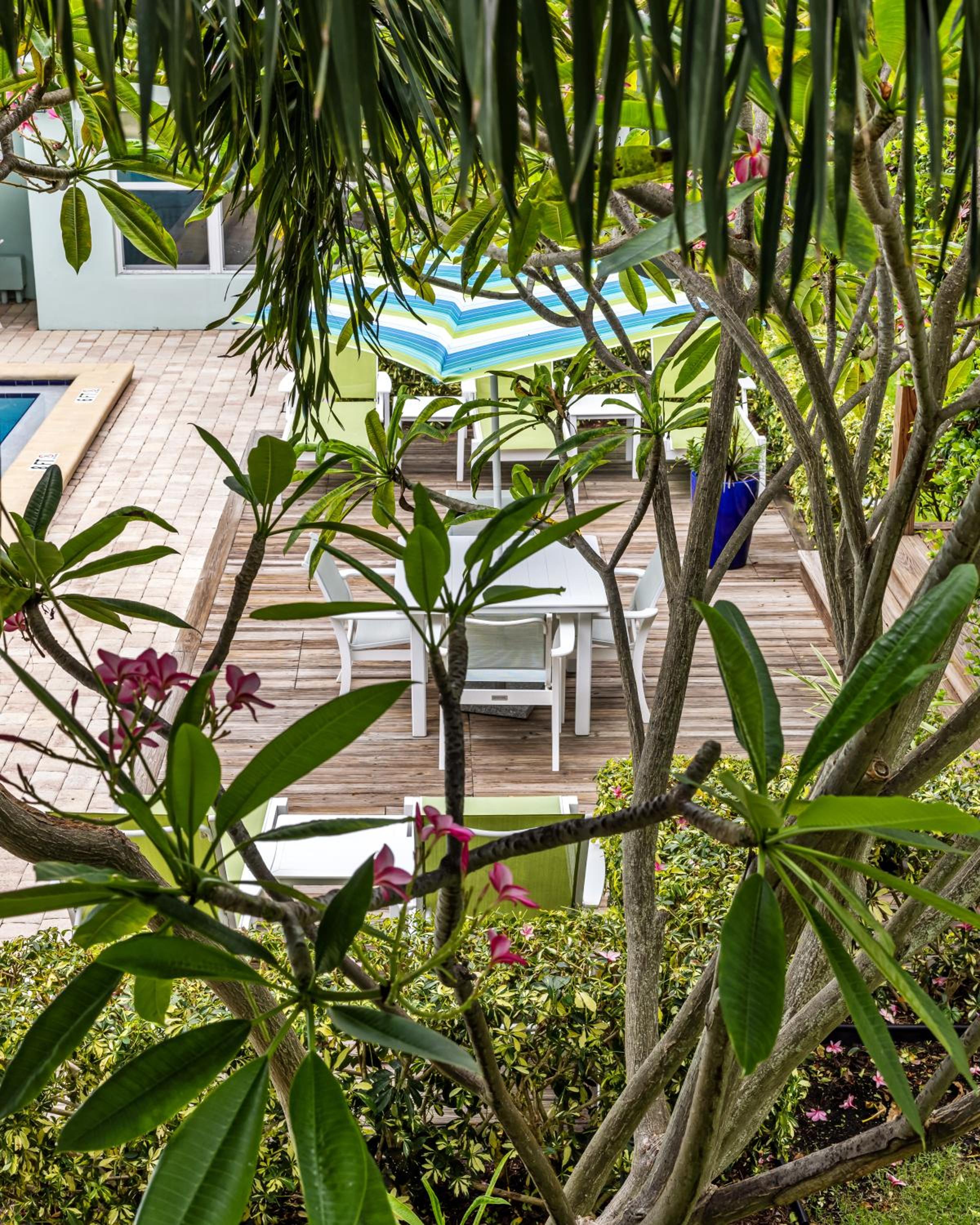 Sun Dek Beach House