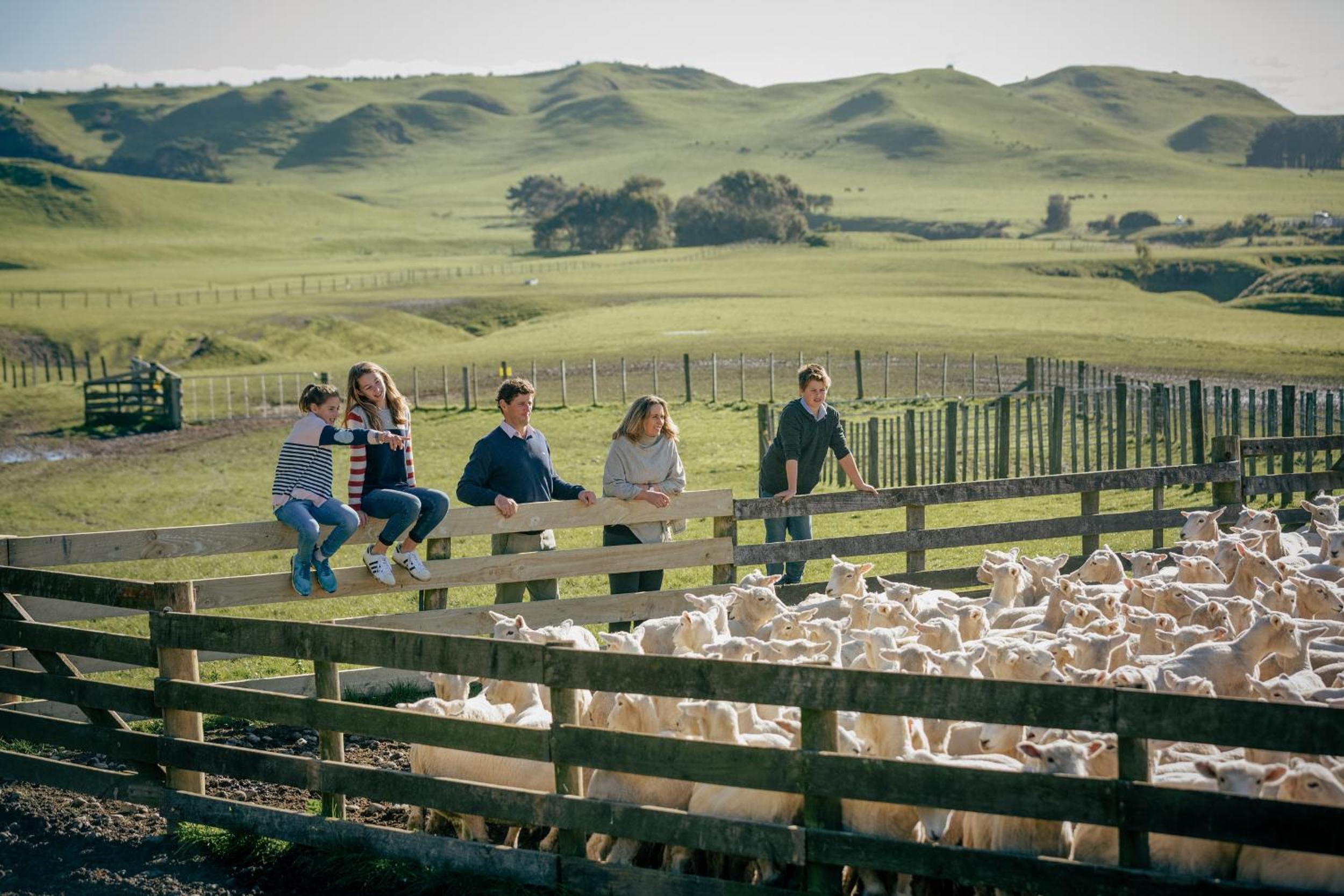Rosewood Cape Kidnappers