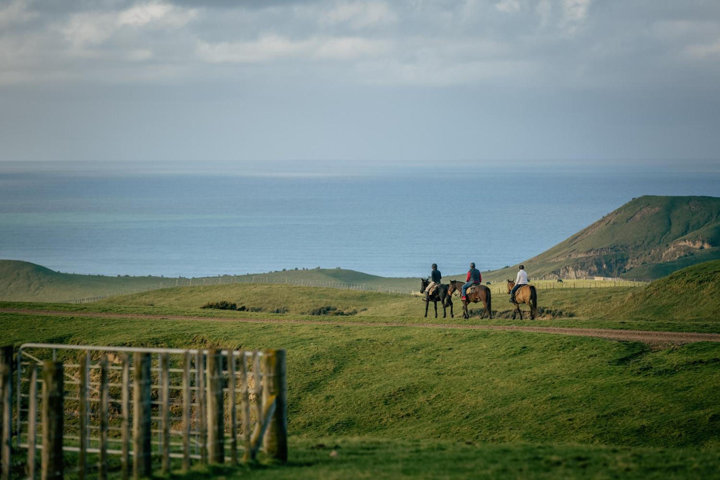 Rosewood Cape Kidnappers