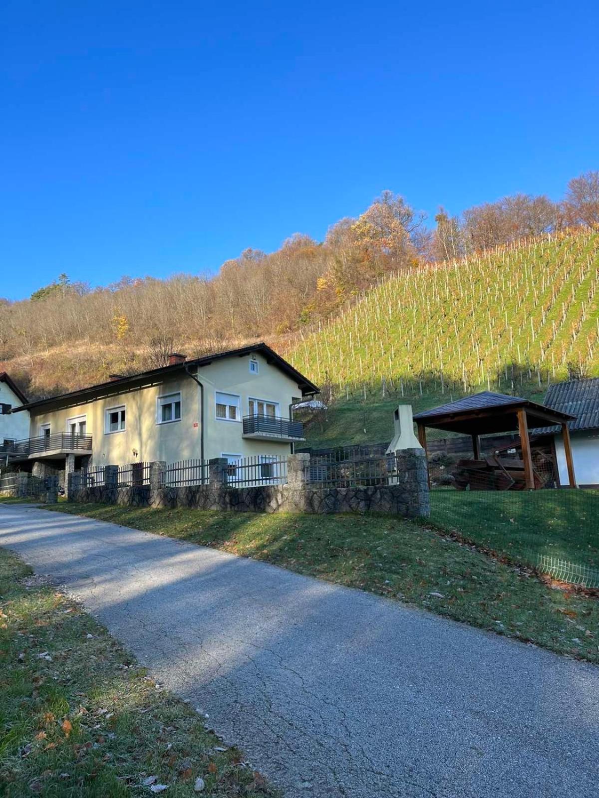 Apartma Movrin