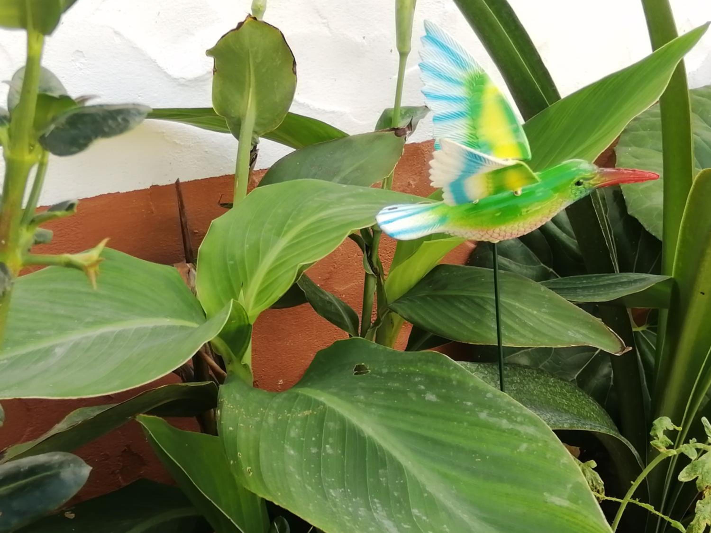 Photo 19