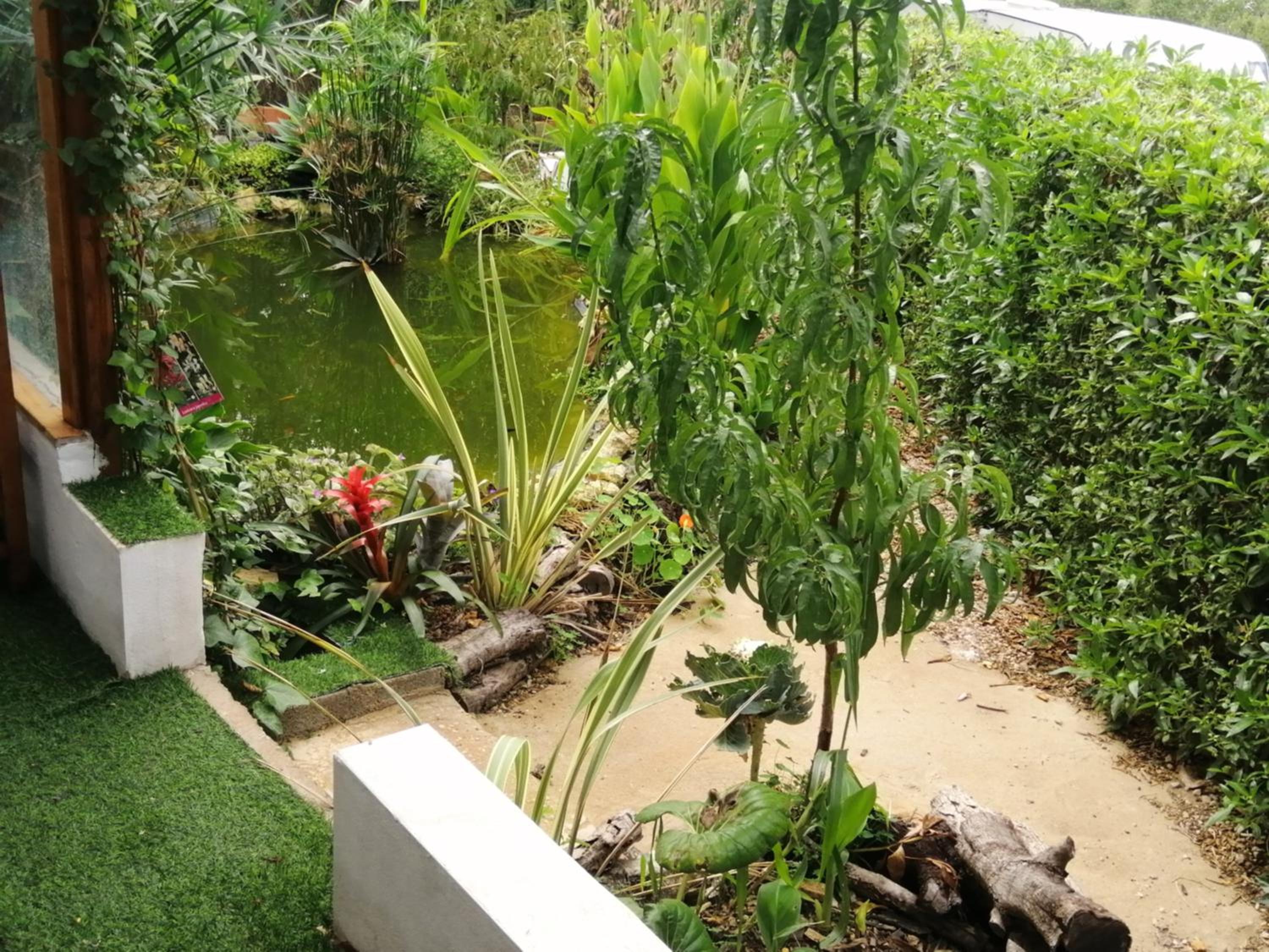 Photo 22