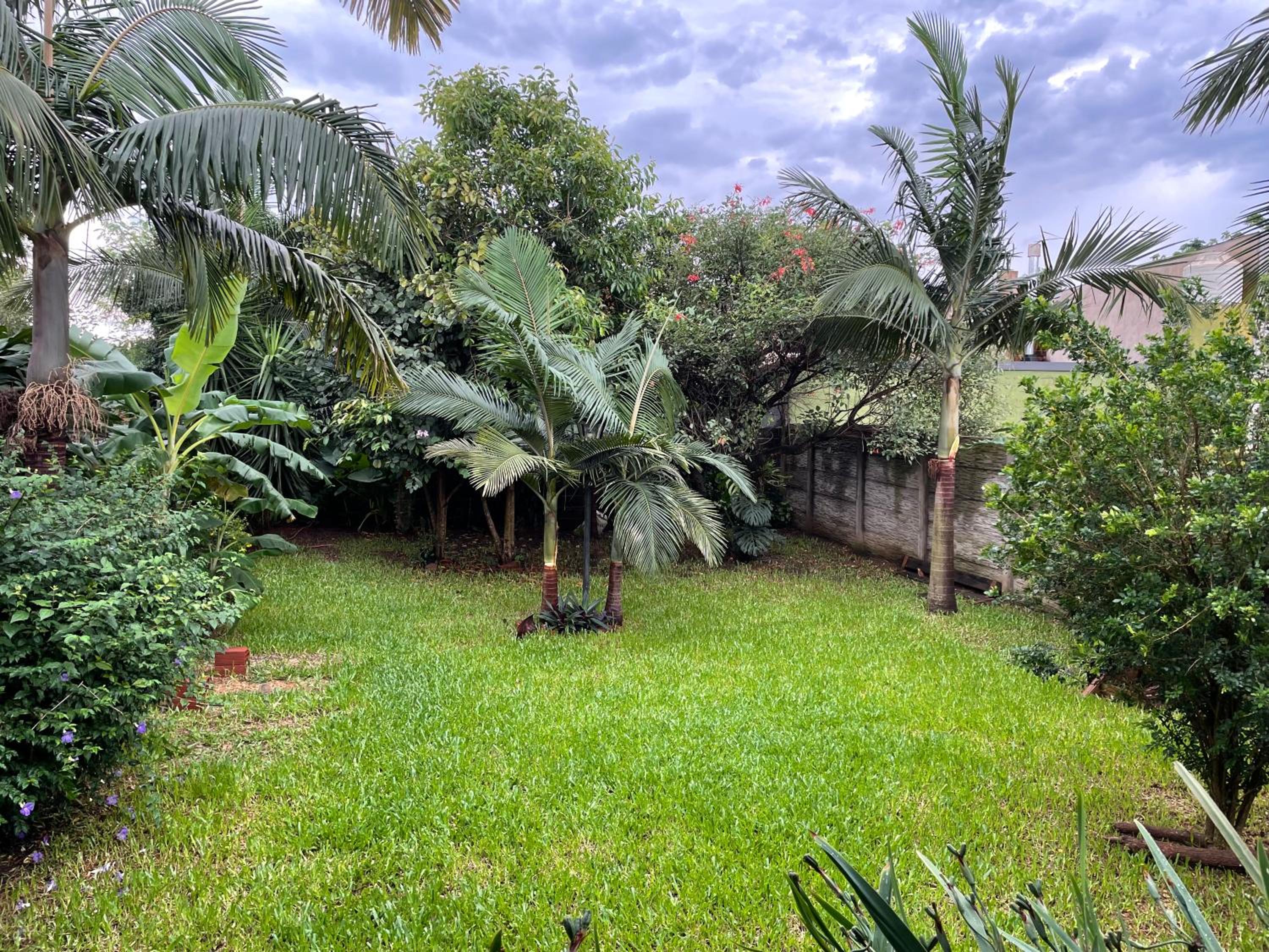 Casa Araucarias Refugio Natural en la Ciudad