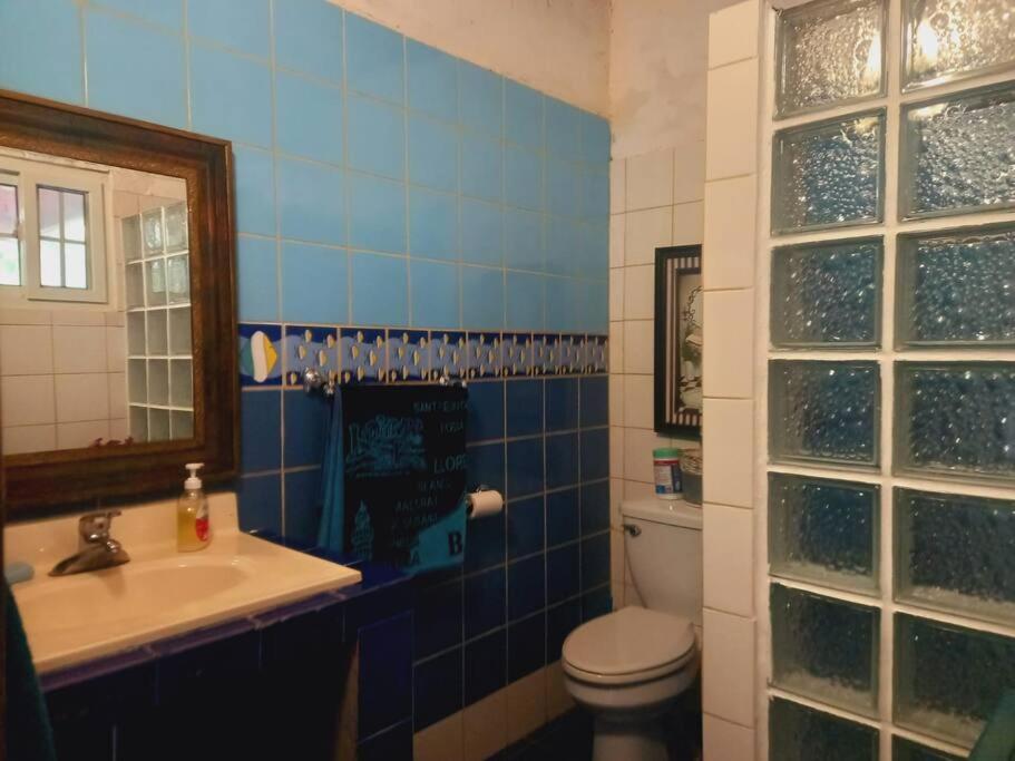 Photo 12