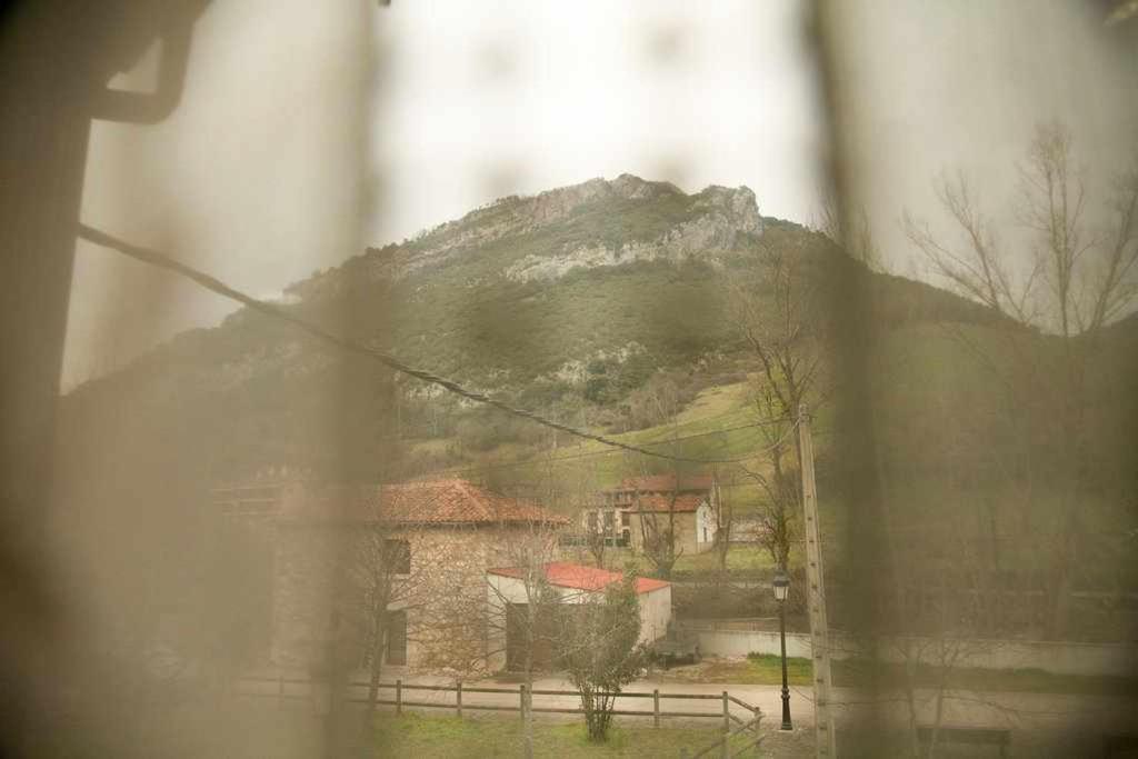 Cumbres de los Picos. Apartamento ¨Los Abedules¨ view 5