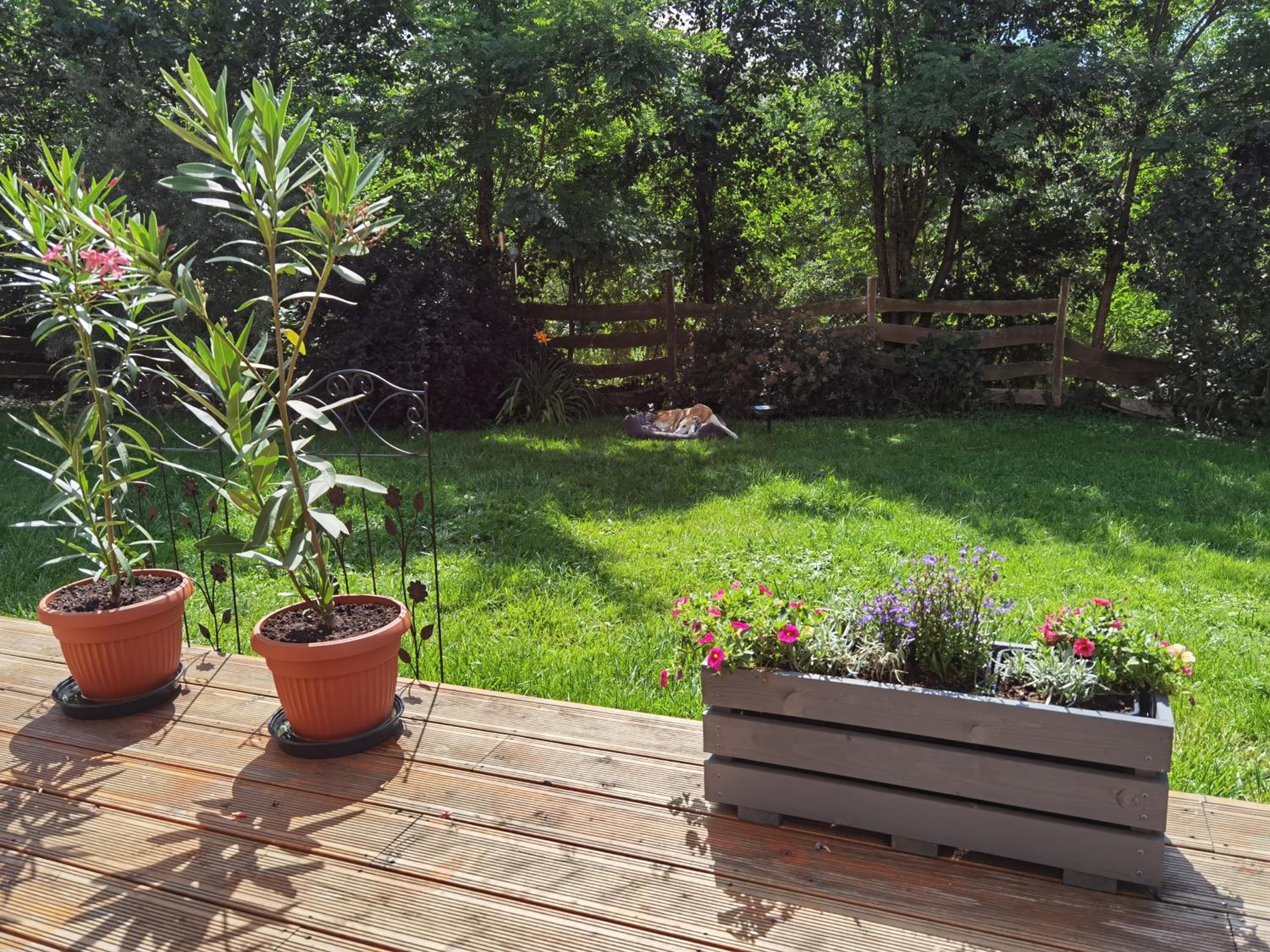 Akacja Apartament