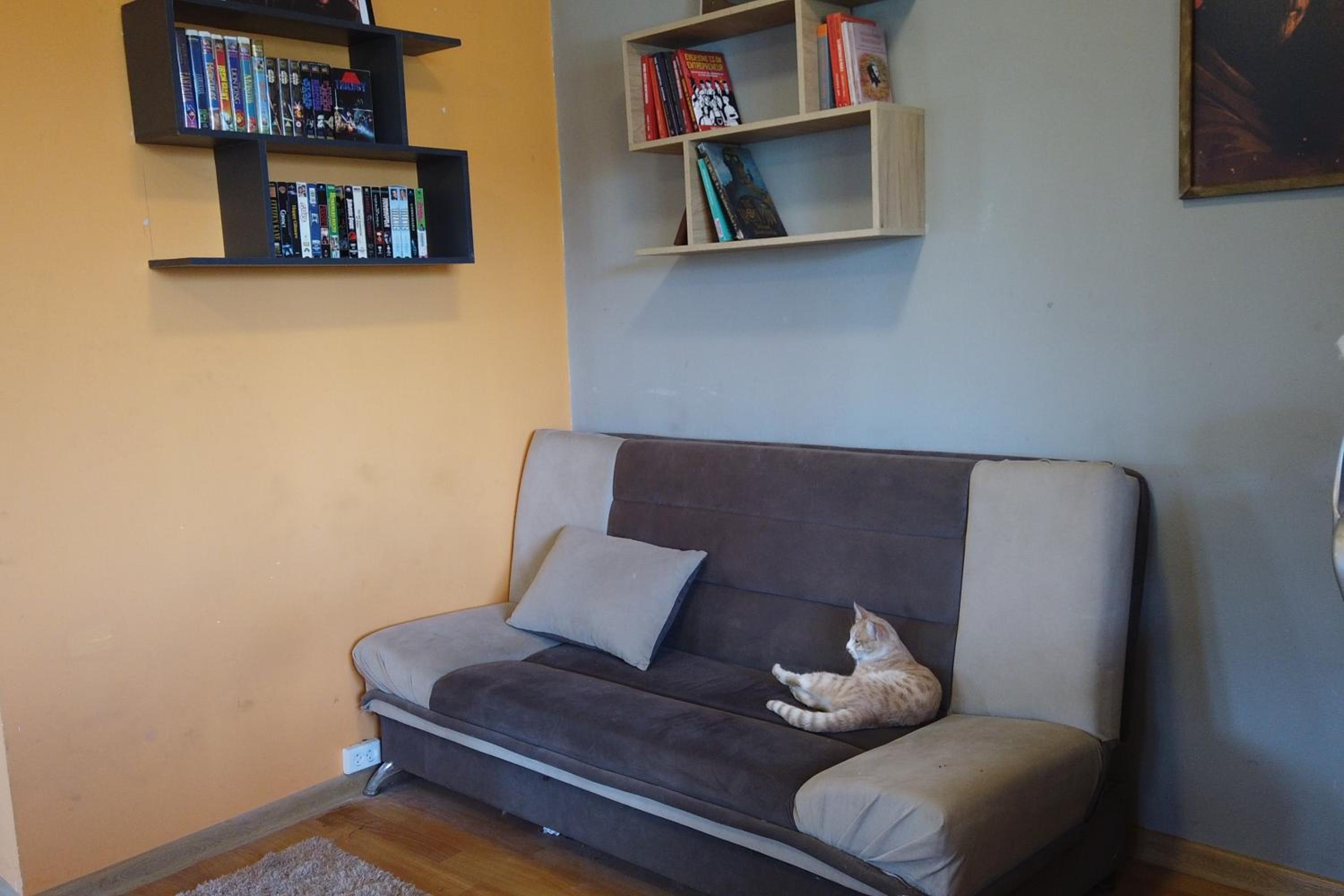Large, Pet-Friendly Home in Kalavan