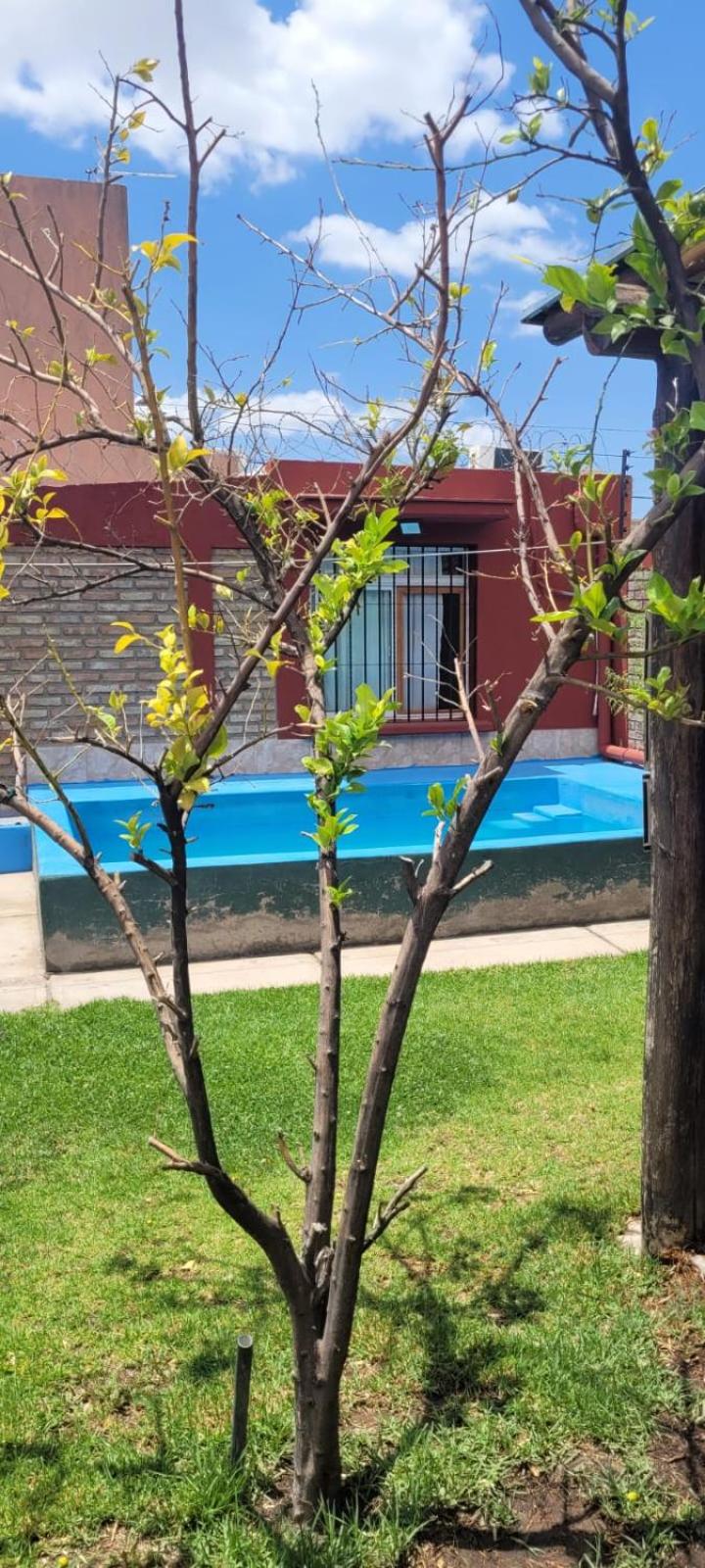 Solares de Moni